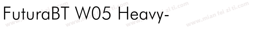 FuturaBT W05 Heavy字体转换